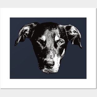 Beauceron - Beauceron Christmas Gifts Posters and Art